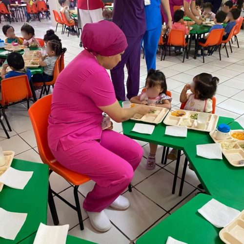 Alimentación rica y nutricional. Alimentación rica y nutricional.